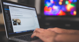 Best Small Business Ideas with Low Startup Costs
